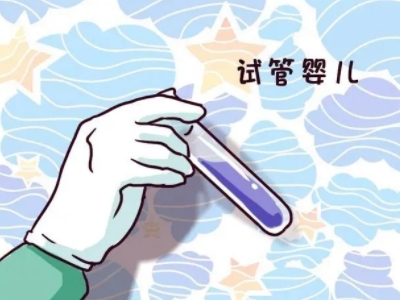 第三代试管婴儿
