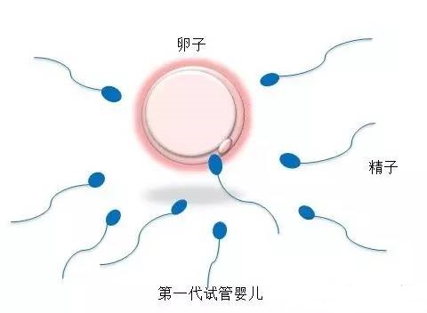 景泰胚胎实验室